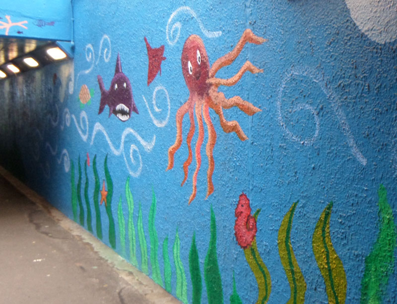 Sandhills subway jellyfish
