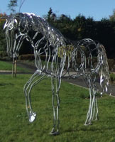 Horse at NOC