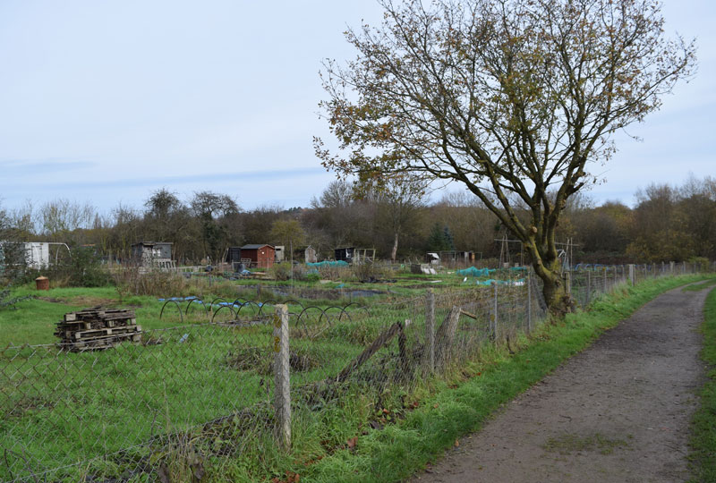 Brasenose Farm allotments