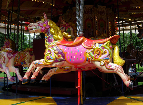 Close-up of horse