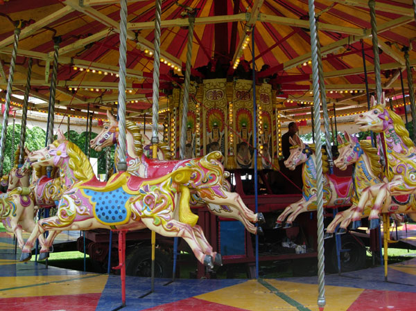 Six horses close up