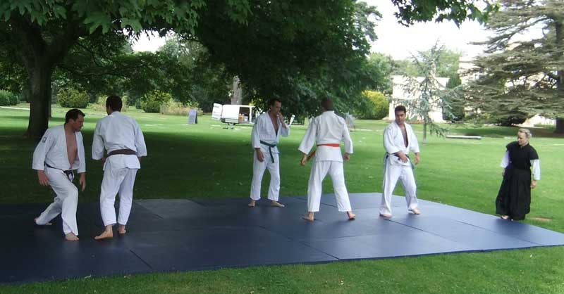 Jujitsu