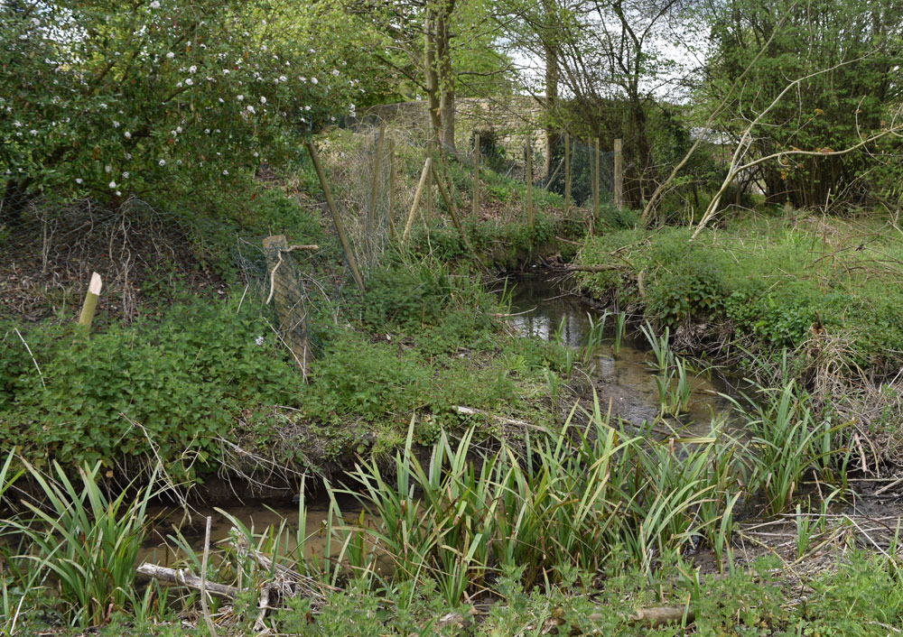 Just before Bayswater Mill