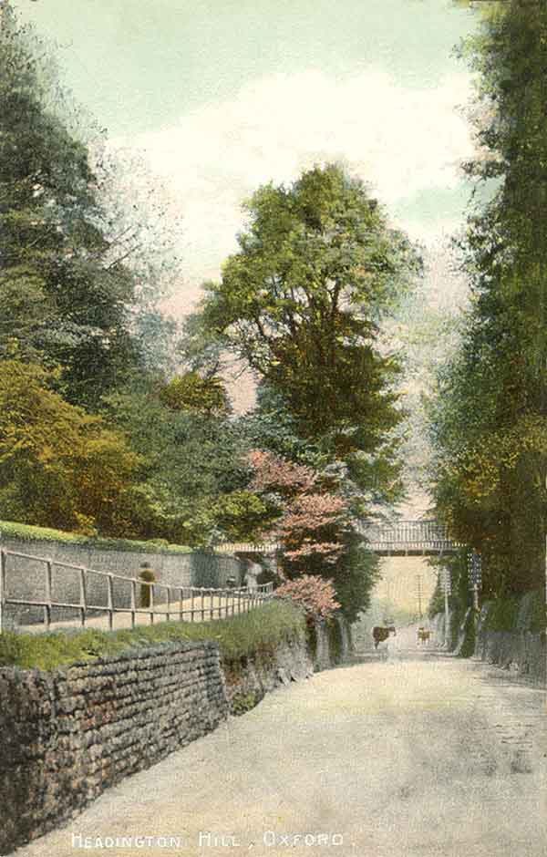 Hill with bridge