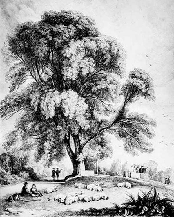 Jewitt's engraving as printed