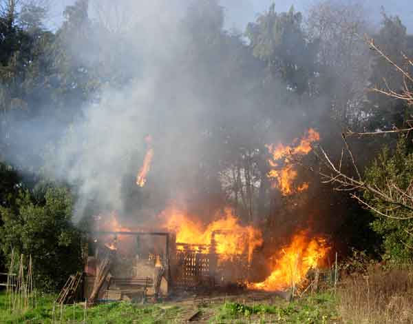 Close-up of fire
