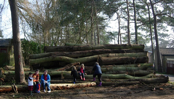 Piles of wood