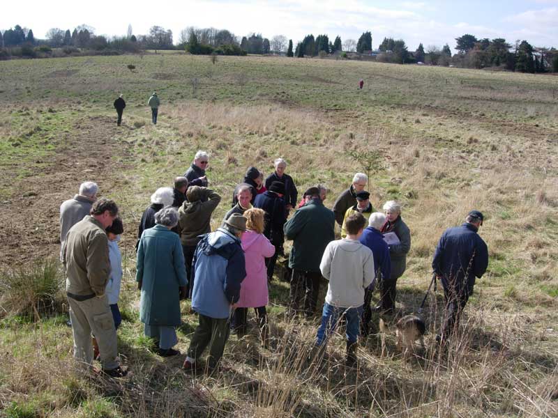 Warneford Meadow