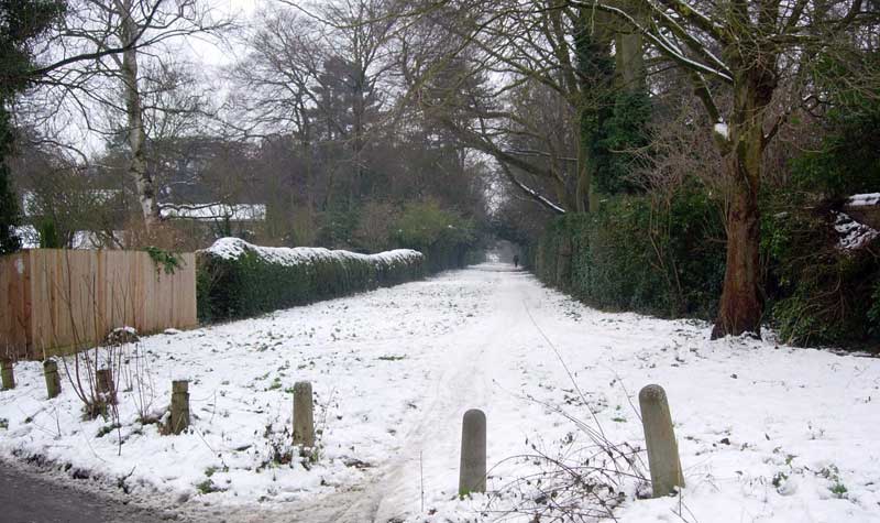 Cuckoo Lane in the snow