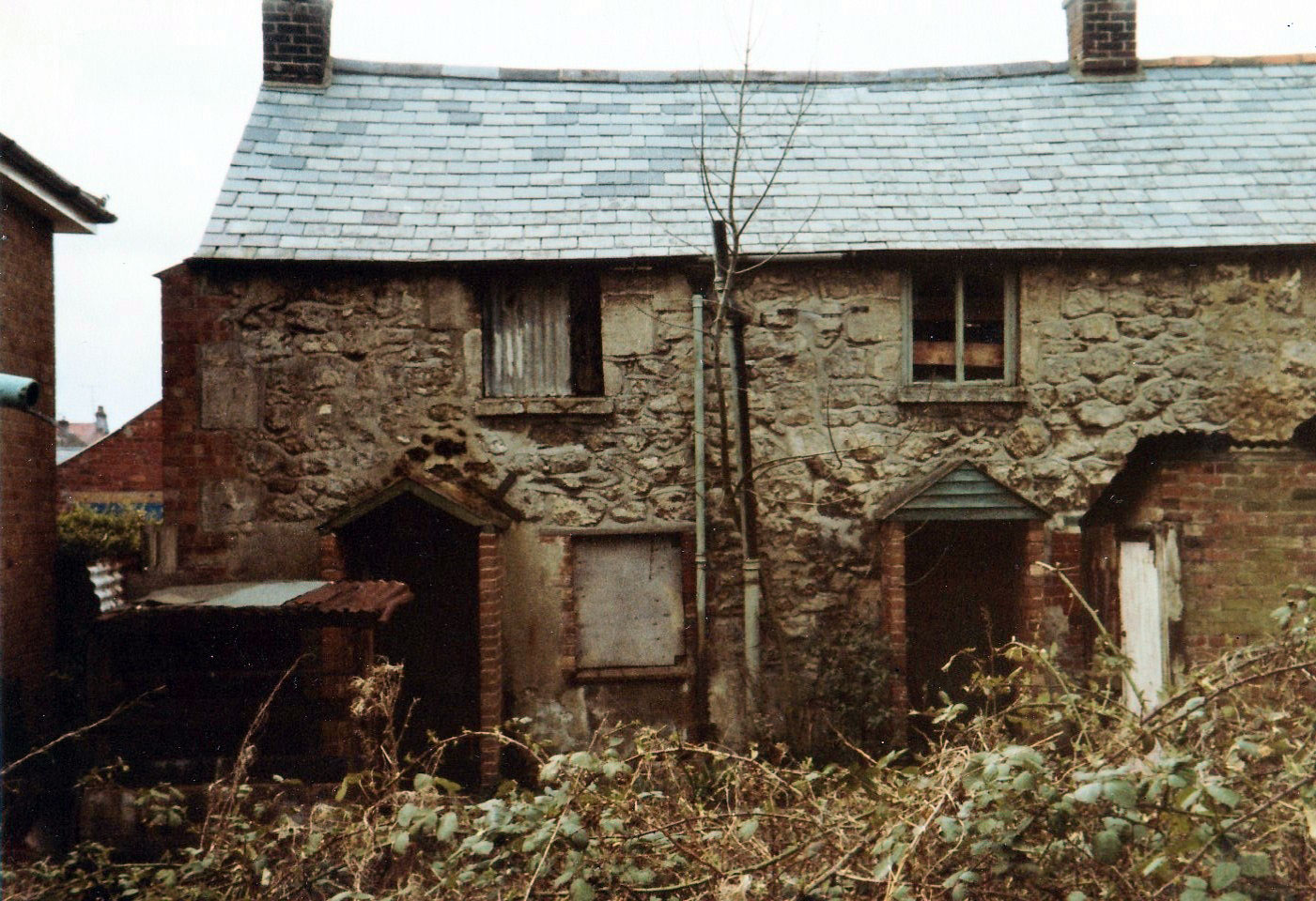 Rear view